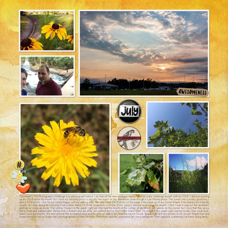 Nature in July