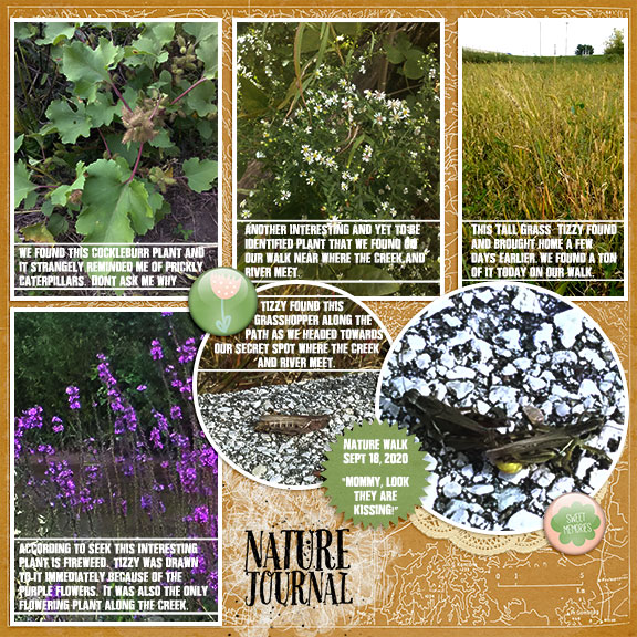 Nature Journal - DSD Slow Scrap Recipe