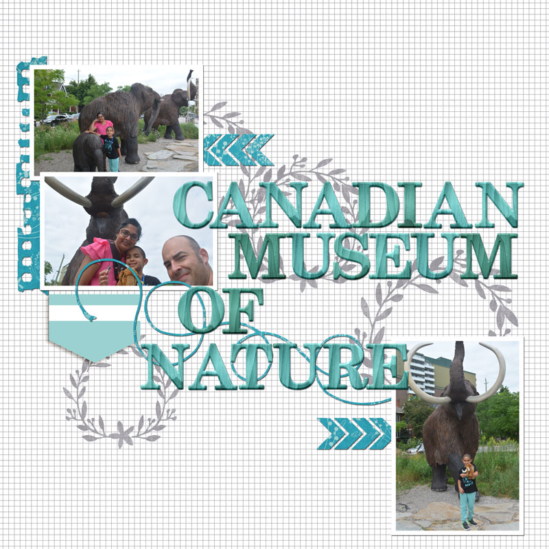 Nature-Museum