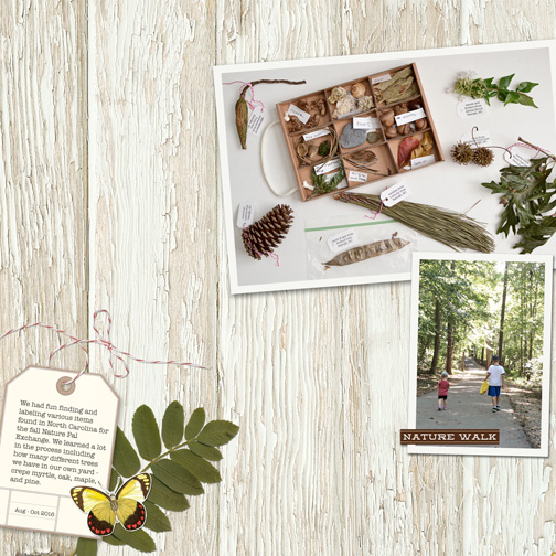Nature Pal Exchange (MOC 2017-17)