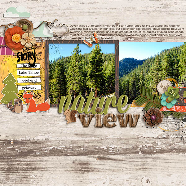 Nature View