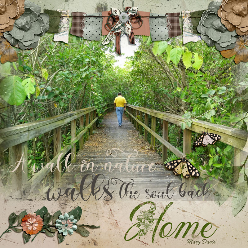 Nature Walk Florida
