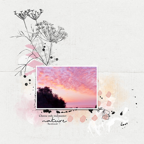 Nature_MOC10_day12