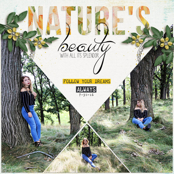 Nature's Beauty