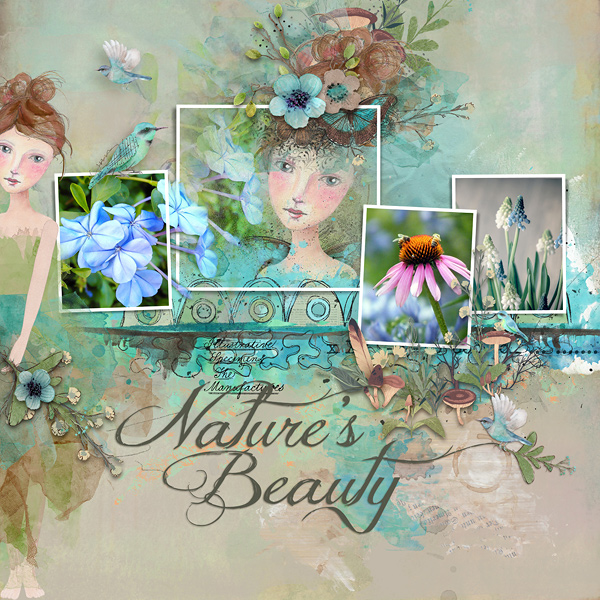 Nature's Beauty