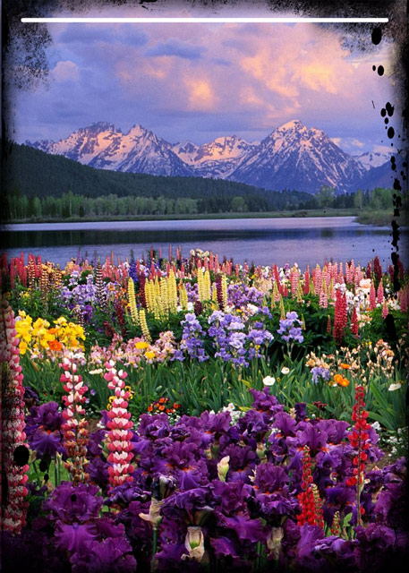 Nature's Gift