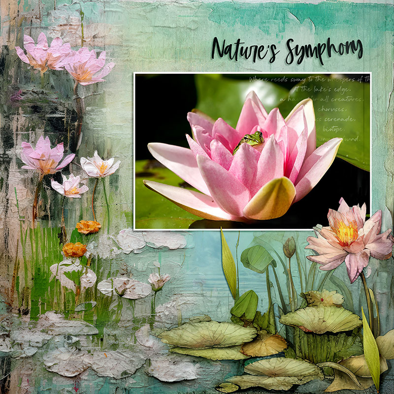 NATURE'S SYMPHONY