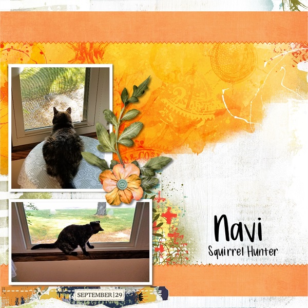 Navi - Squirrel Hunter