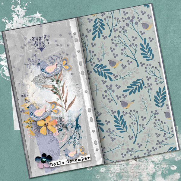 Nbk-AC46-hellodecember_web