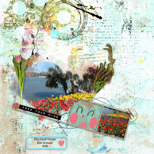 Nbk-AC49-slowscrap343022web
