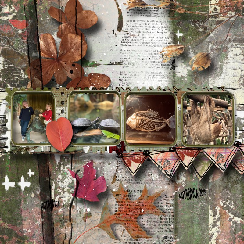 Nbk Autumnwhisper2