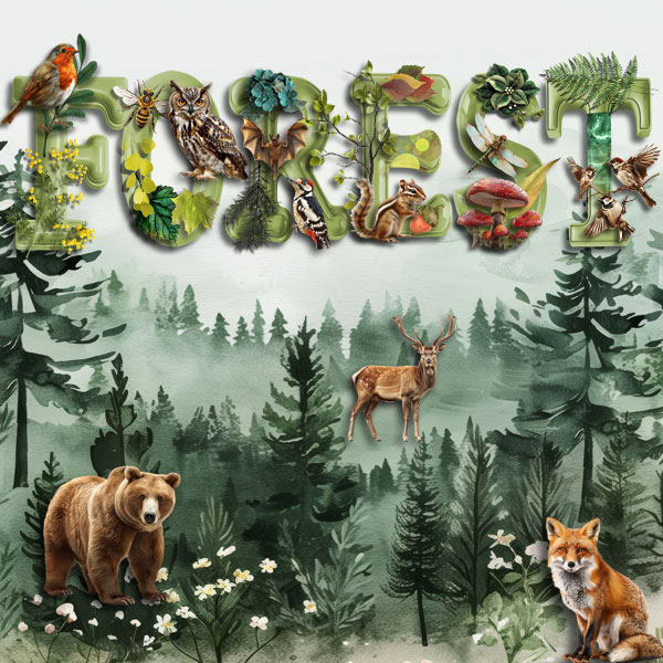 Nbk ch. Forest