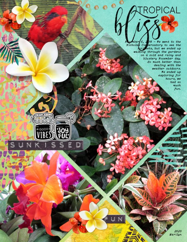NBK-Design_2020-07_July_SOSN_0722_Tropical-Fusion_EP-JC-31_web