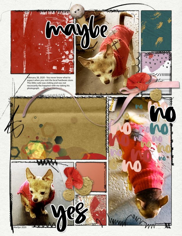 NBK-Design_2020-10_October_DSD_YesNoMaybe_web