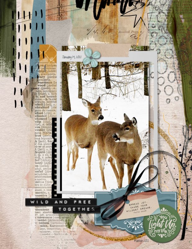 NBK-Design_2021-01_January_NEW_0115_2021-Keep-On-Dreaming_web