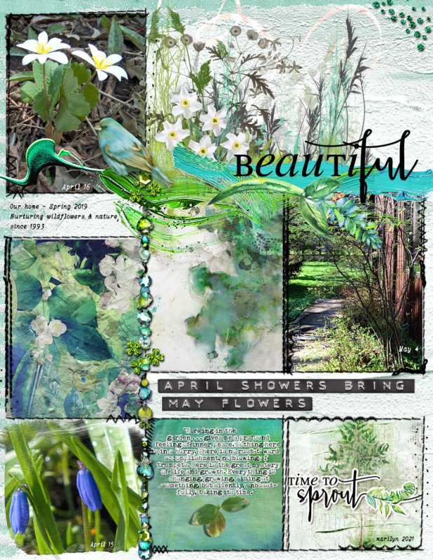 NBK-Design_2021-03_March_SOSN_0310_Urban-Garden_web