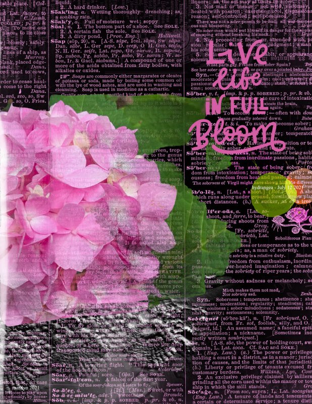 NBK-Design_2021-07_July_New_CU_0723_web