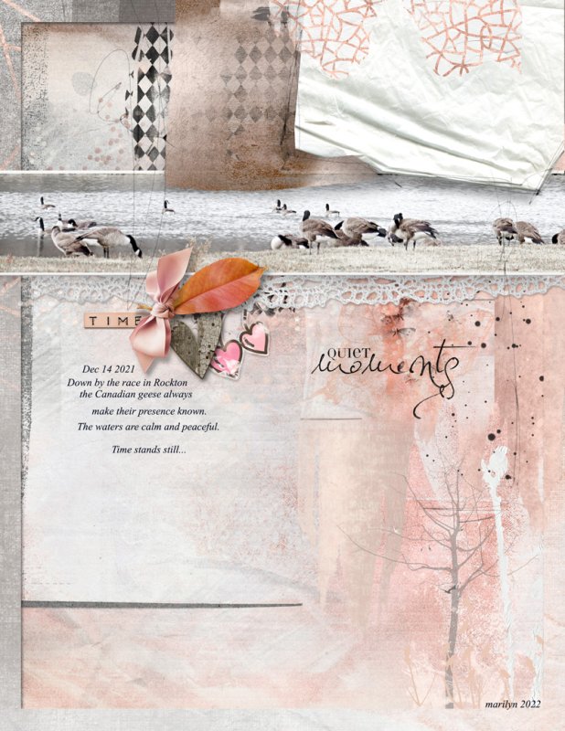 NBK-Design_2022-02_February_SOSN_0216_Dear-Diary_web
