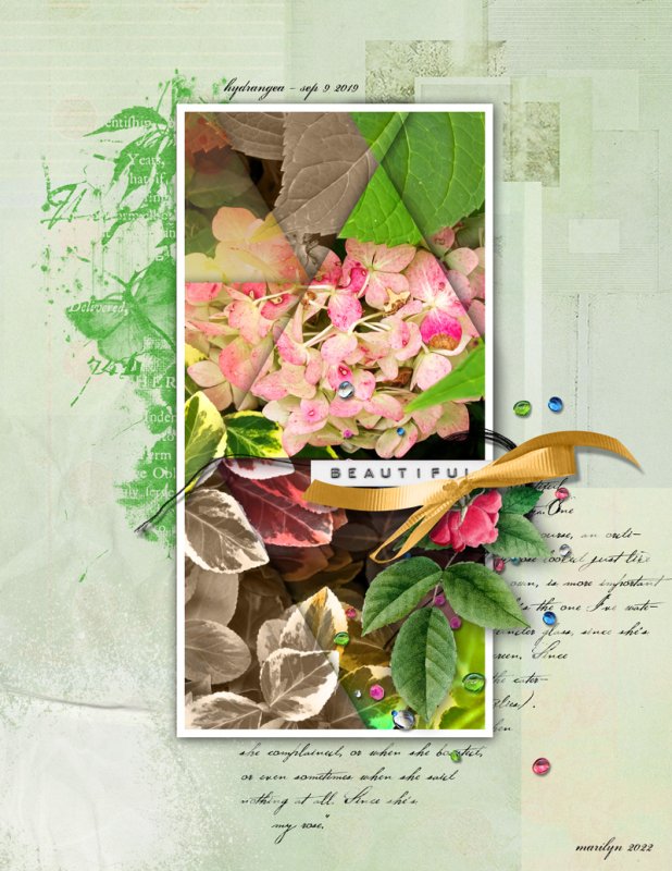 NBK-Design_2022-04_April_SOSN_0420_Rose-Boheme_web