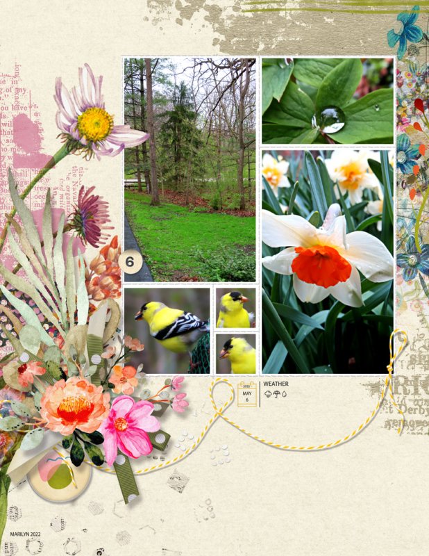 NBK-Design_2022-05_May_BYOC_0506_artCRUSH51_web