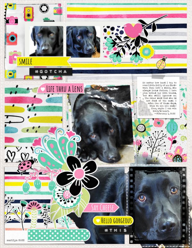 NBK-Design_2022-05_May_iNSD_0507_2022-Templates_Feb-9_web
