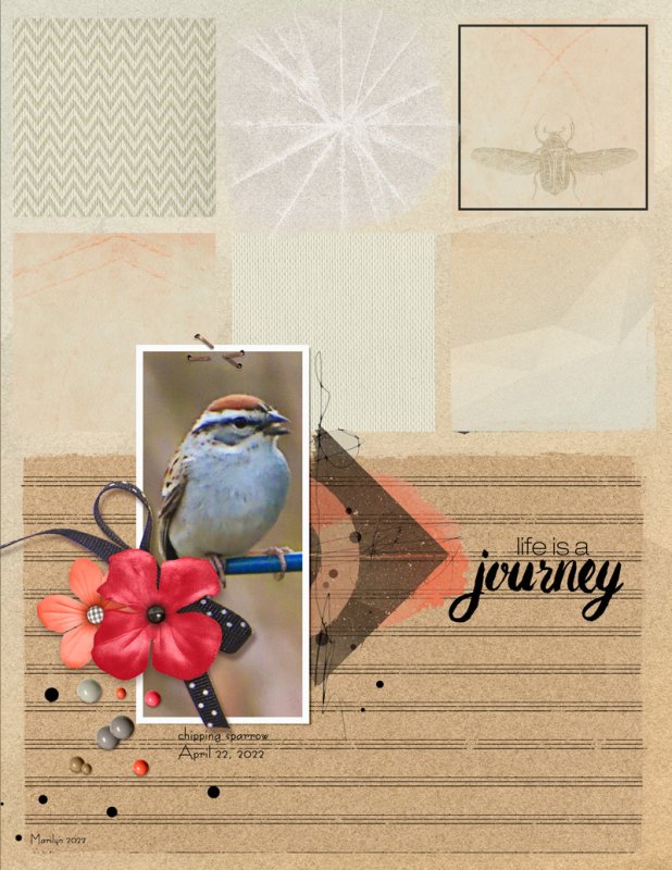NBK-Design_2022-05_May_iNSD_0507_2022-Templates_May-18_web