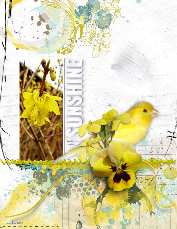 NBK-Design_2022-05_May_TLP_SOSN_0504_Sunnyside_web