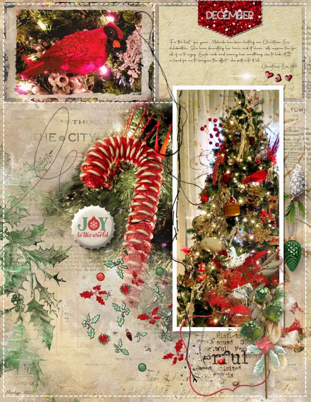 NBK-Design_2022-11_November_New_1118_Dec-2022-TP_web