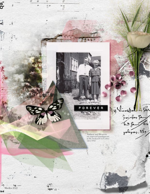 NBK Design_2022 11_November_SOSN_1116_Remembrance_web