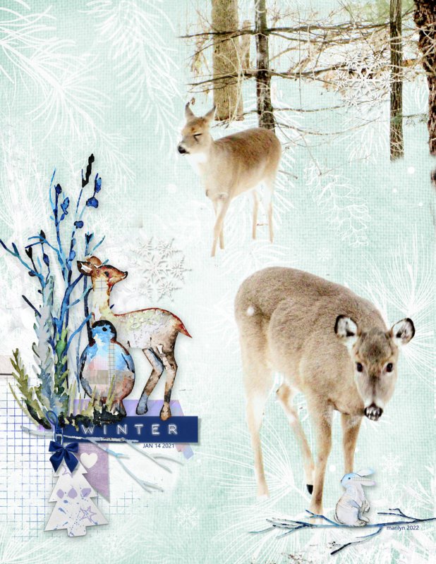 NBK-Design_2022-12_December_New_1202_Winter-Memories_web