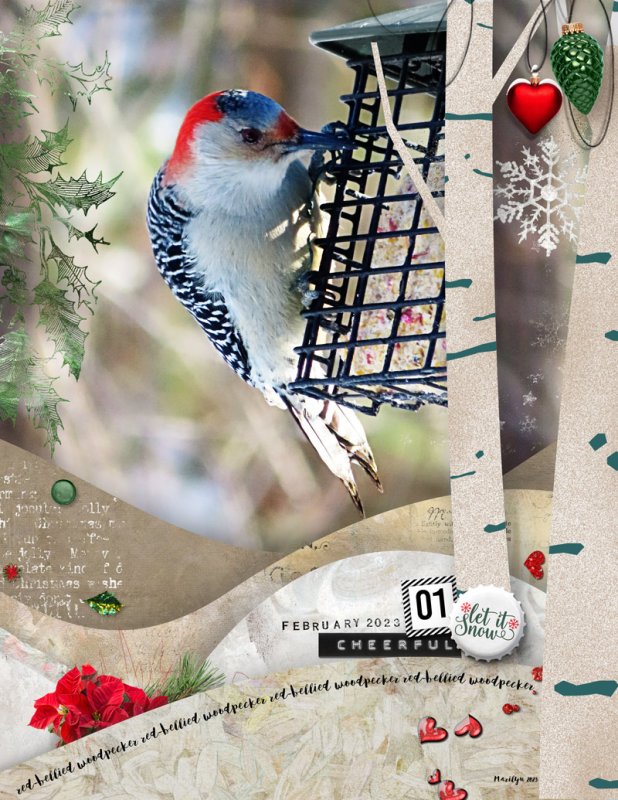 NBK-Design_2023-02_February_New_0210_Cutout-TP1_web