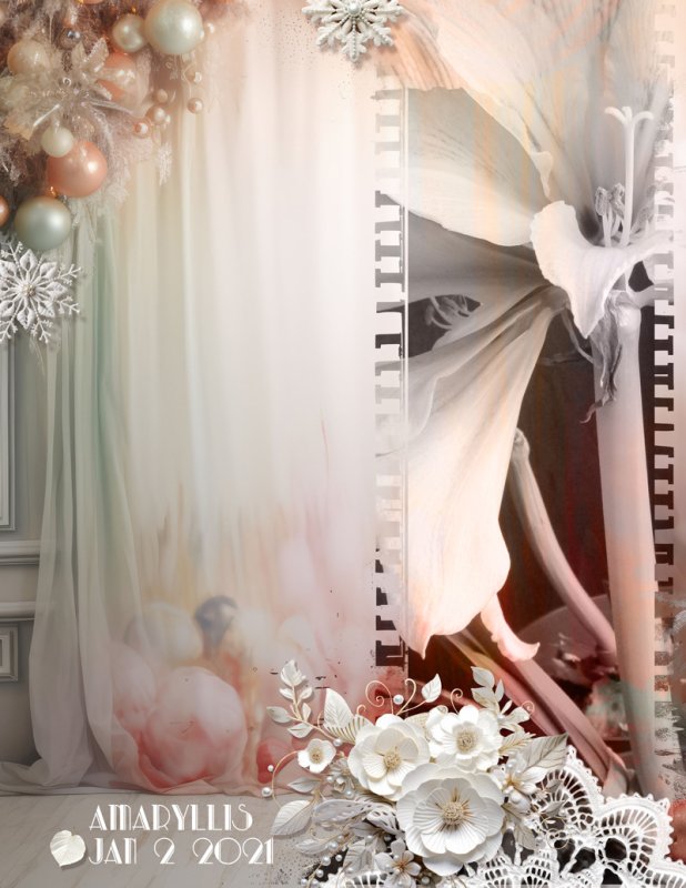 NBK-Design_2023-12_December_New_1208_various_web