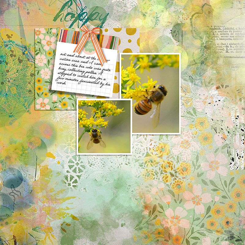 NBK Design's DSD Challenge