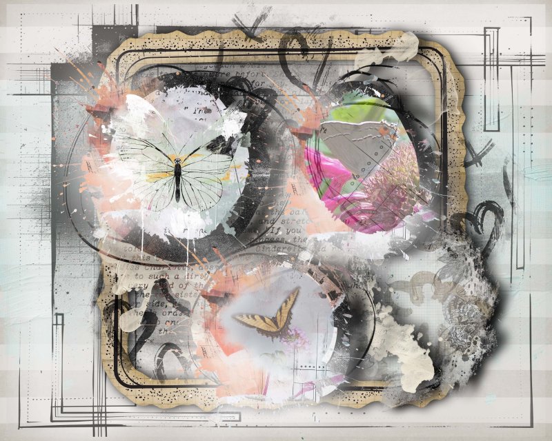 NBK Focus Soft Butterflies And Neutrals