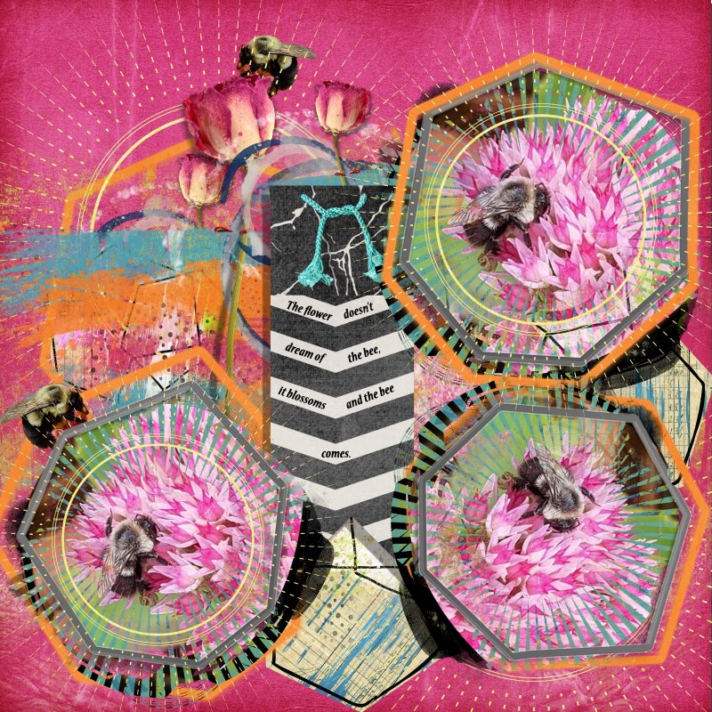 NBK Out Of Bound March Challenge Take 3
