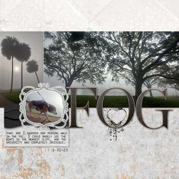 NBK Slow Scrap 2-3-23 Fog