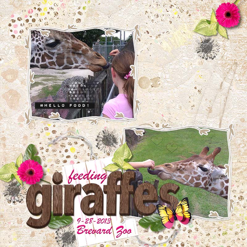 NBK Slow Scrap Nov2022 - Feeding Giraffes