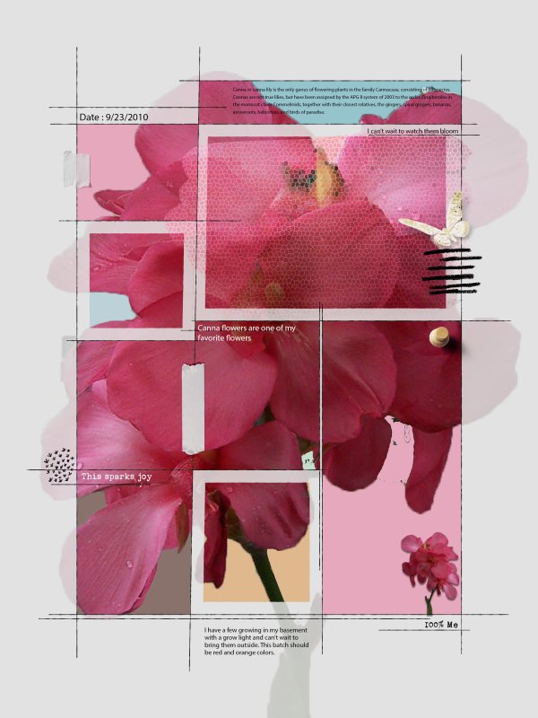 NBK Template With Canna Flower