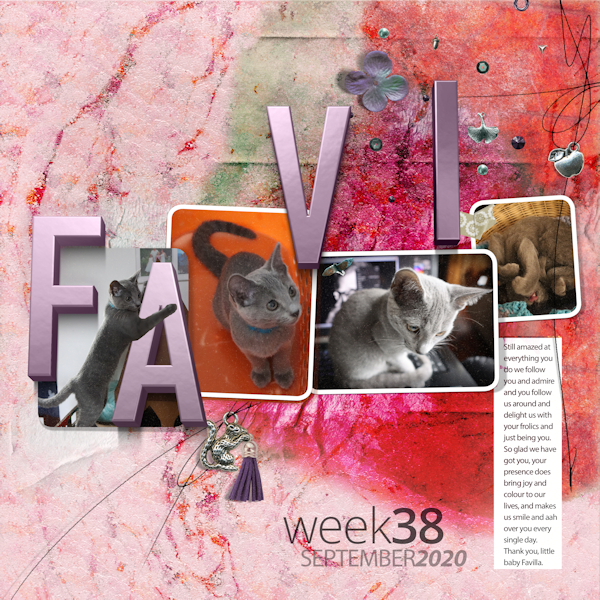 Nbk_Favi Week38