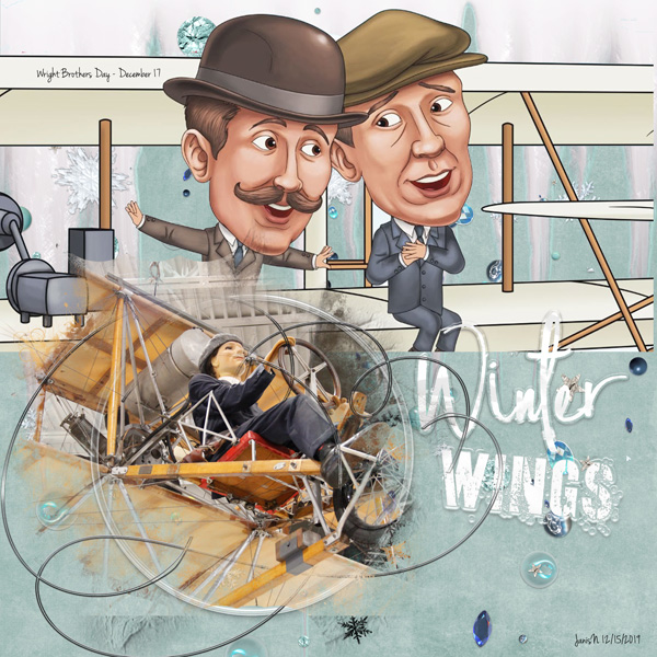 NBK_winterwings