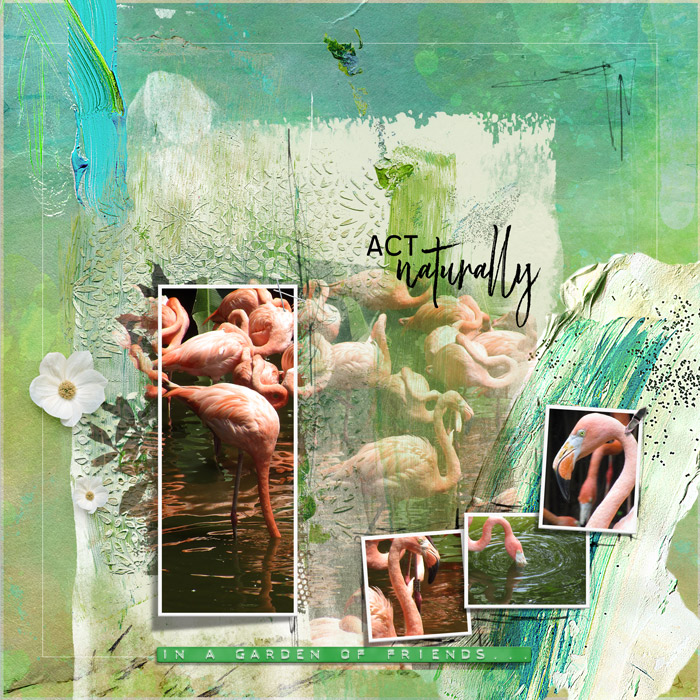 NbkEasyPeasyDesignerChall-flamingos-700px