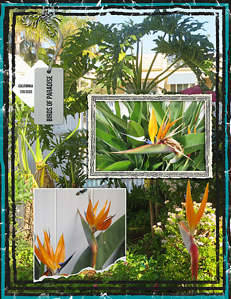 NBKSimpleChall_06-2020_flowersgal_web