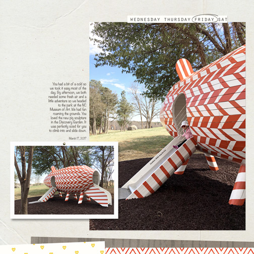NCMA Pig