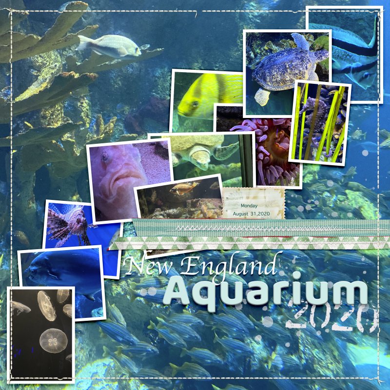 NE Aquarium
