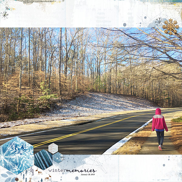 Neighborhood Walk- January 2018