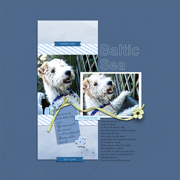Nelli`s-to-do-list