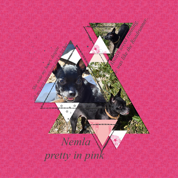 Nemla