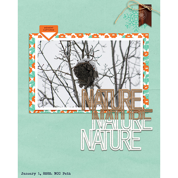Nest