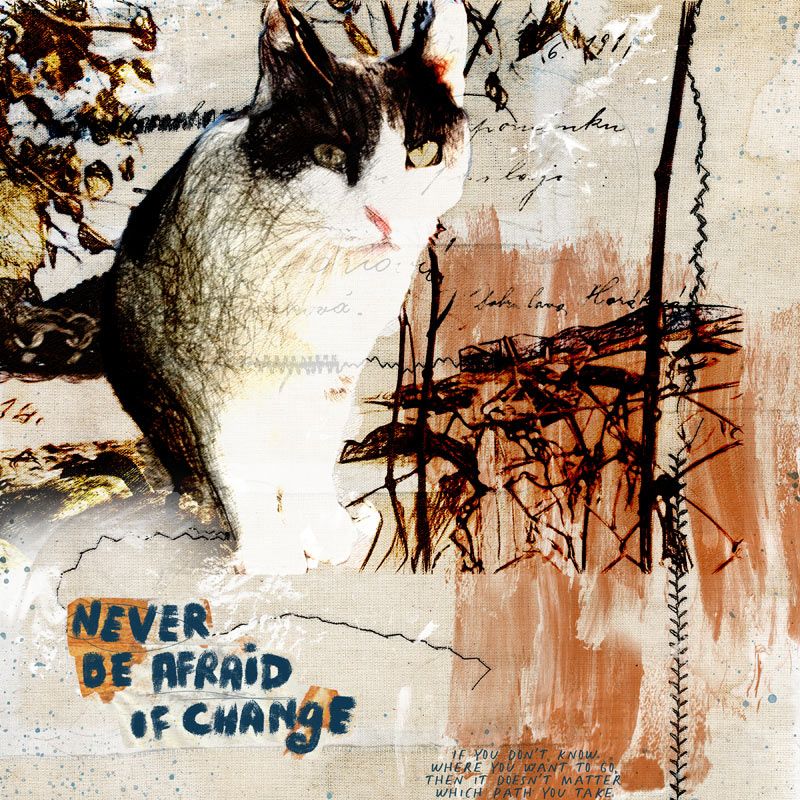 Never be afraid of change