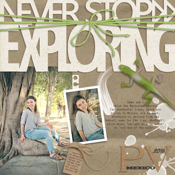 Never Stop Exploring